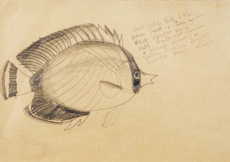 Christopher Wood - Pufferfish, London Aquarium