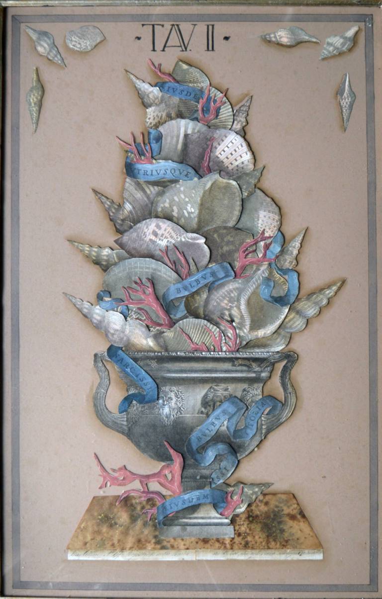 Shell Collage Tav II - Studio Puck