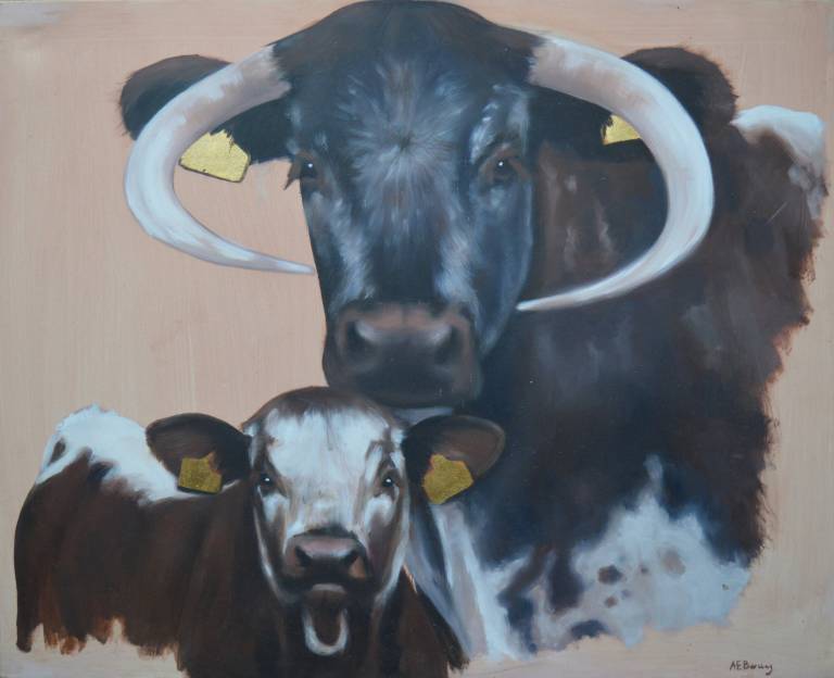 Cow and Heifer - Antonia Barclay