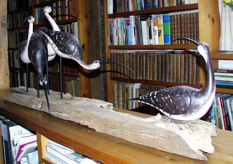 Curlews on Driftwood - Chris Hindley