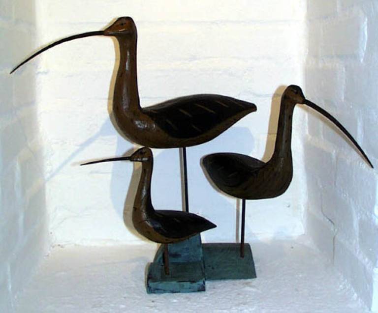 Robert  Leatherby - Shorebirds