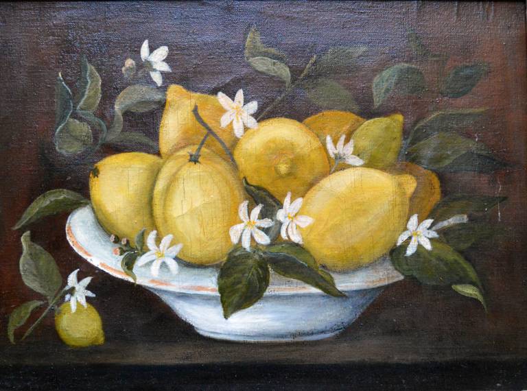 Unknown - Lemons and Blossom in a White Bowl