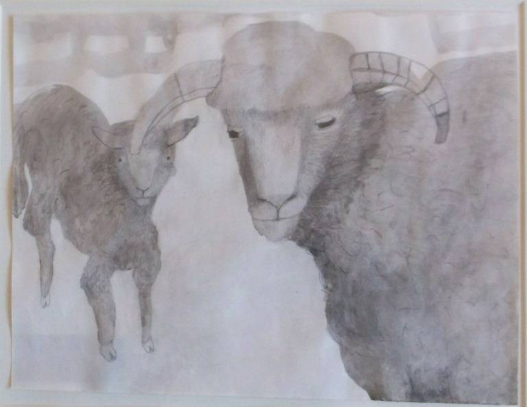 Mary Newcomb - Dorset Horn Ewe And Young Lamb