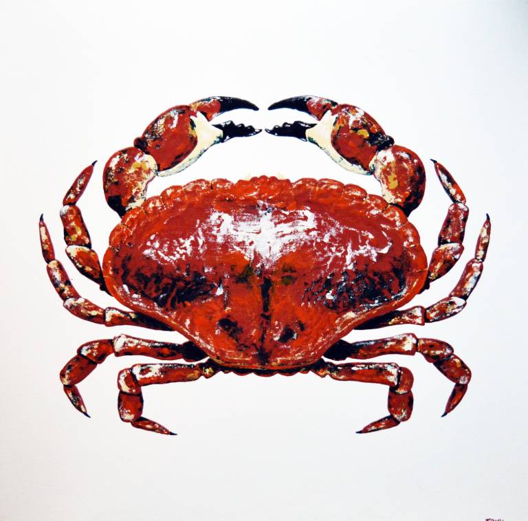 Crab - John Frith