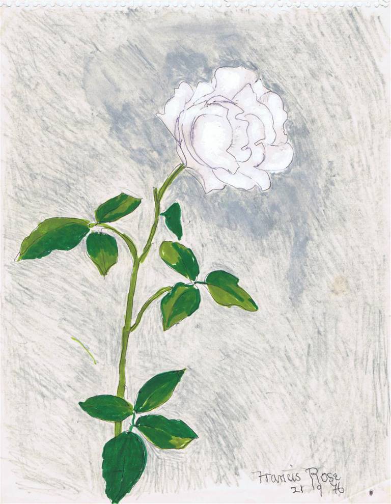 Francis Rose - Rose Still Life