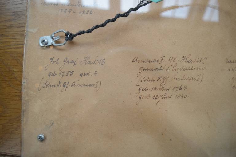 The Noble Von Hadvik Family Group 1729-1844, Inscribed on Rear - Unknown