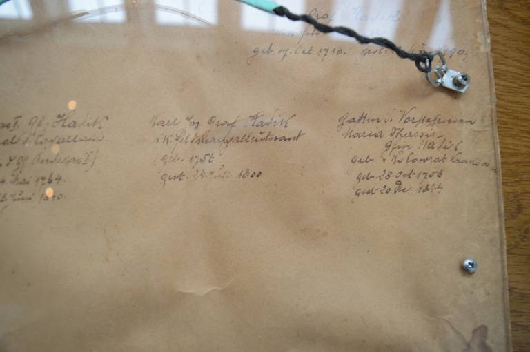 The Noble Von Hadvik Family Group 1729-1844, Inscribed on Rear - Unknown