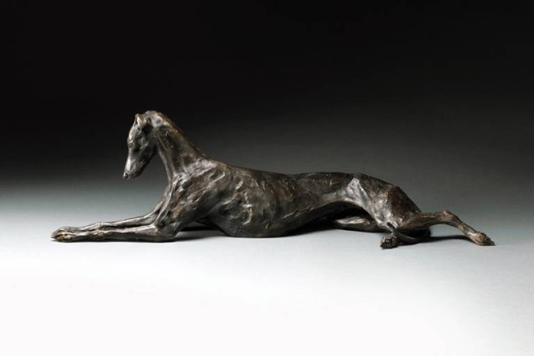 Stretching Greyhound/Lurcher