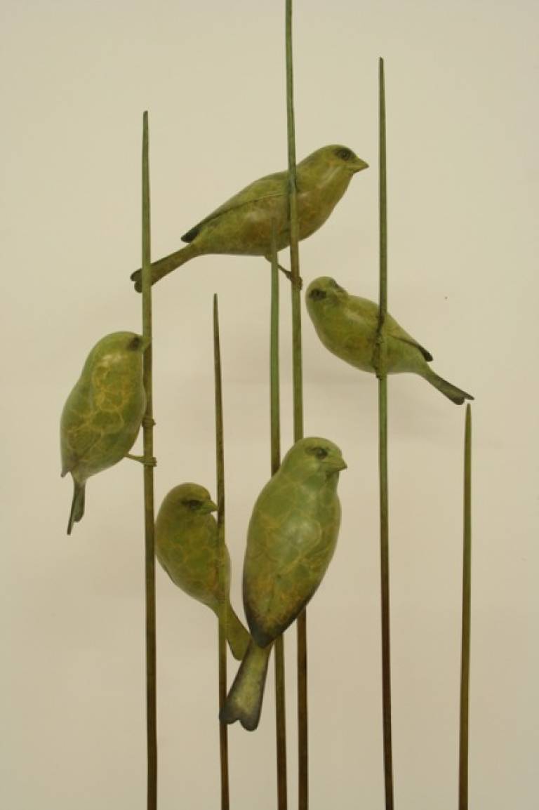 Green Finches