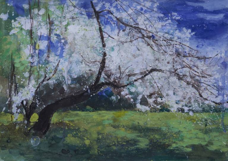Blossom Tree sketch