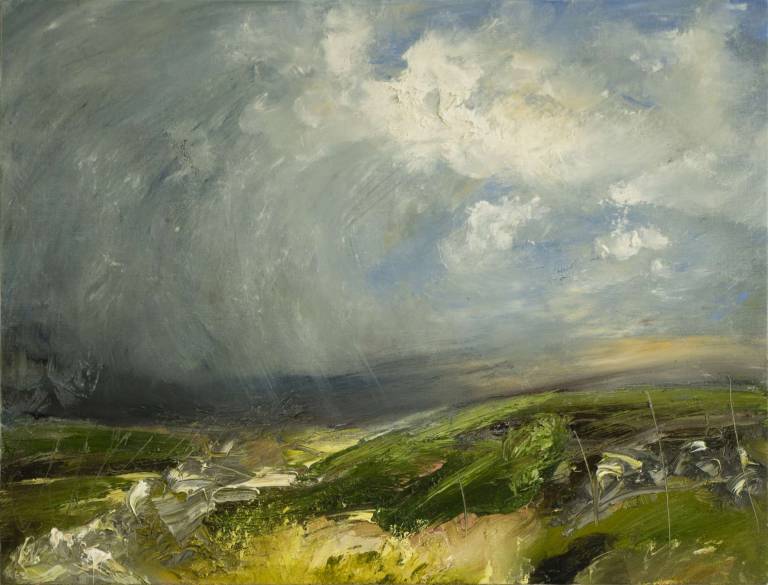 April Shower in the Dales (Wensleydale)