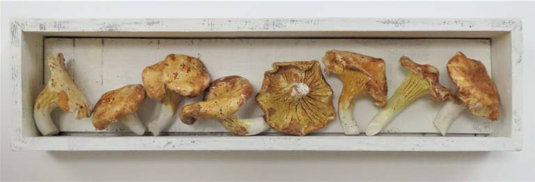 Chanterelle Mushrooms