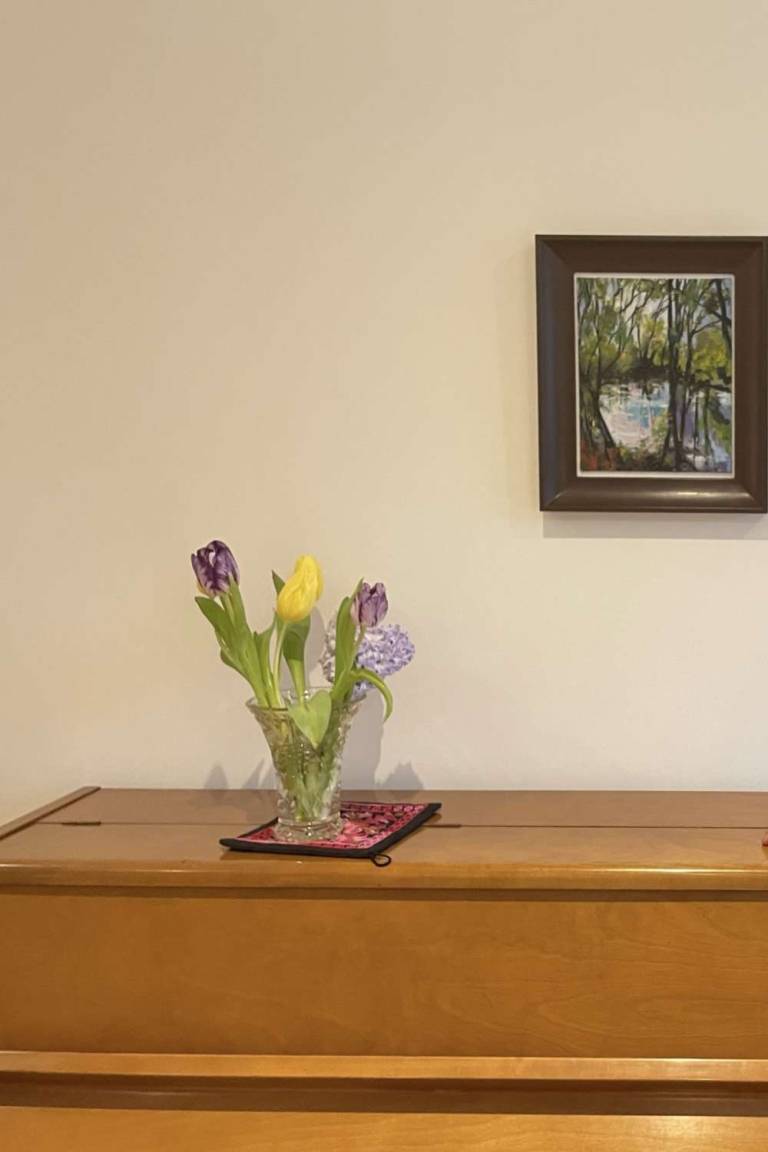 Collectors House - Sally Mole