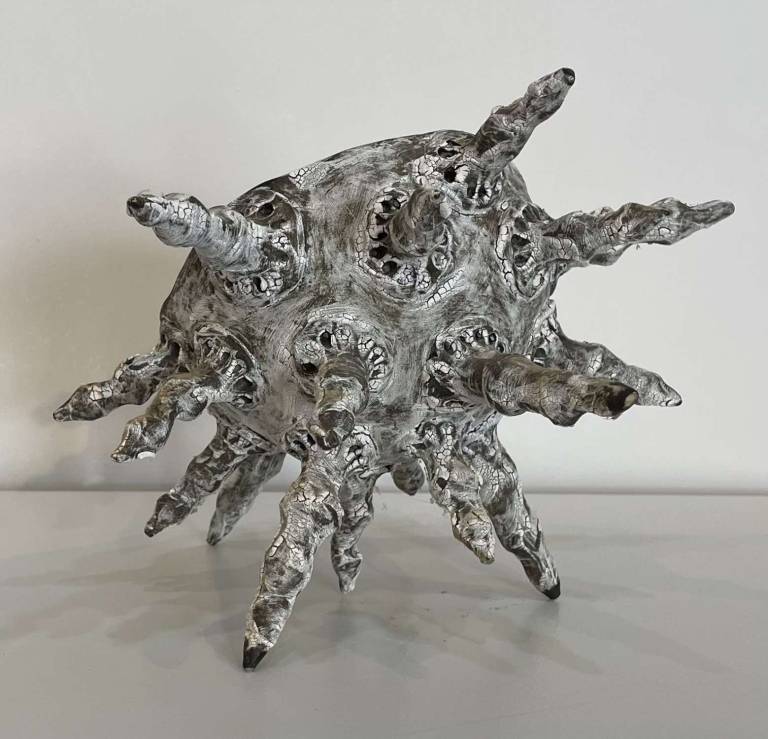 Adela Powell - Foraminifera