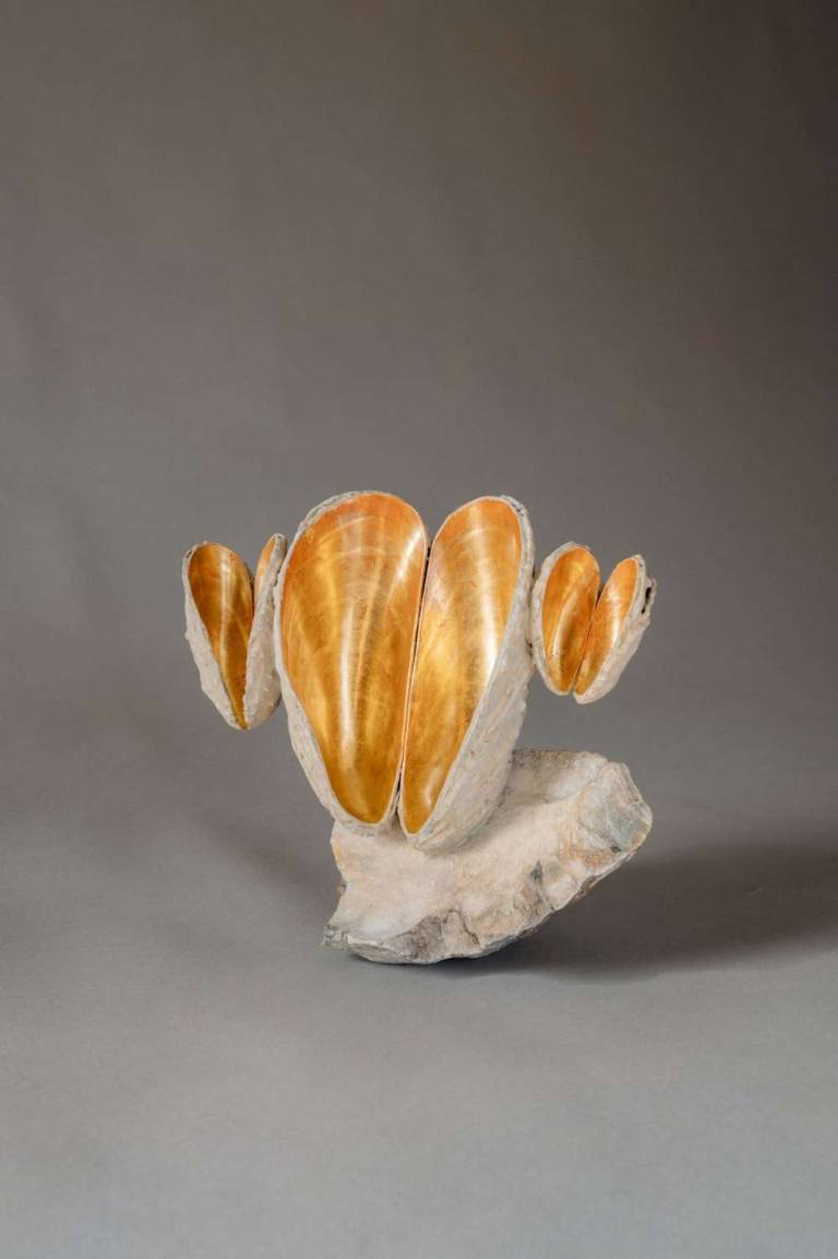 Lucy Gray - The Mudlark's Dream