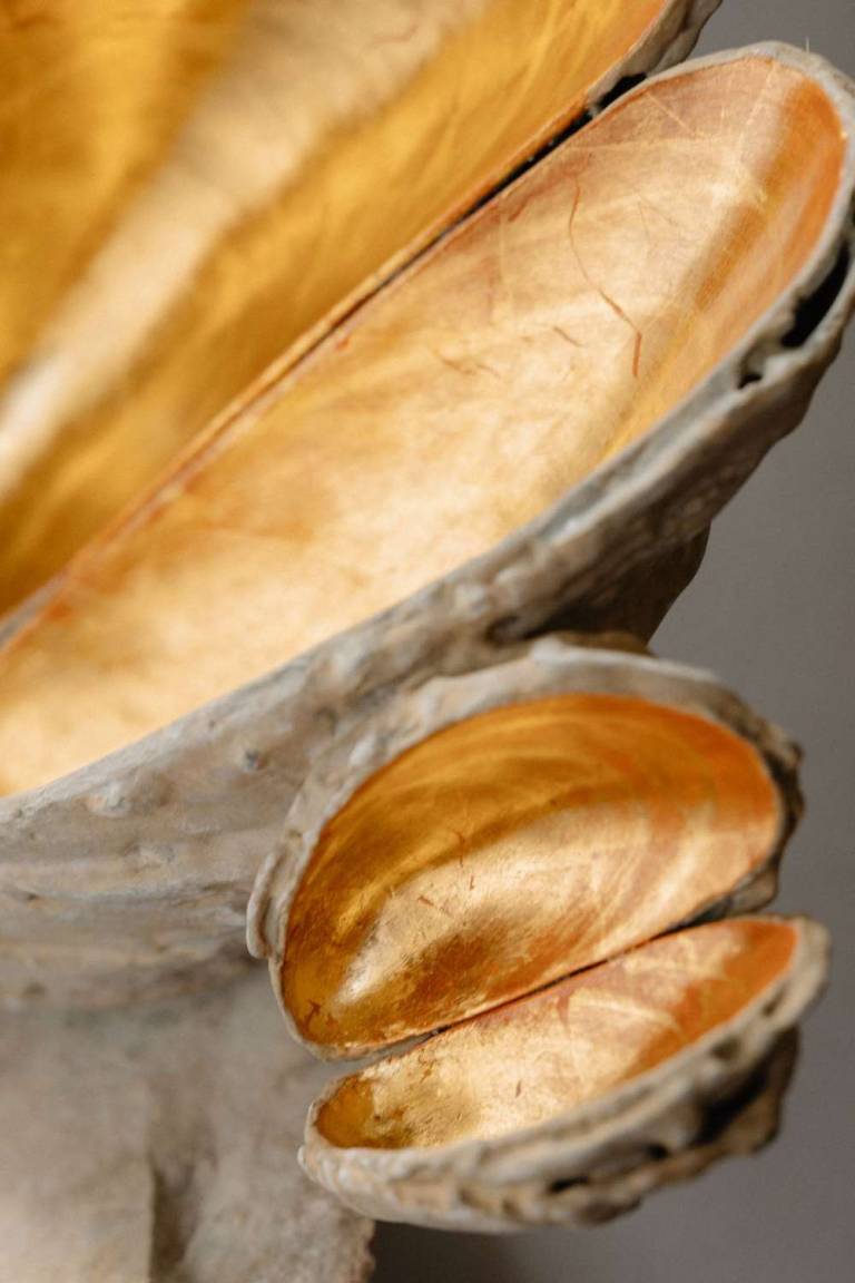 The Mudlark's Dream - Lucy Gray