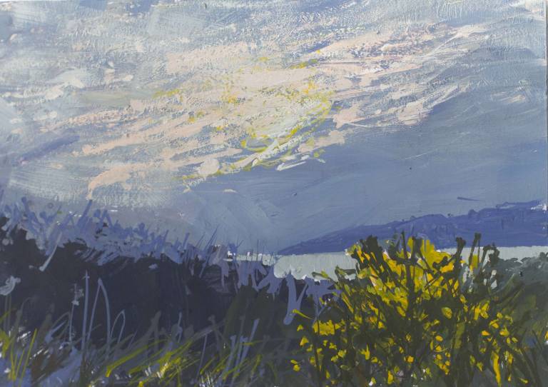 Sunbreak over gorse - Sophie Velzian
