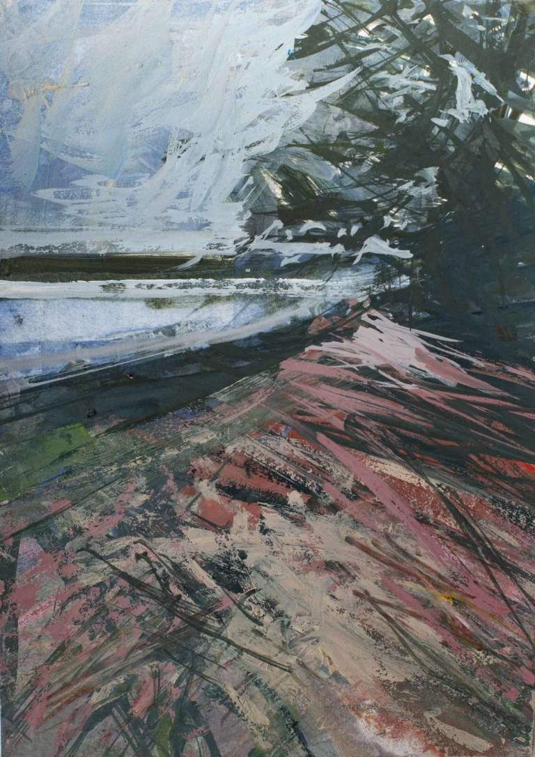 The pink of Calamansack - Sophie Velzian