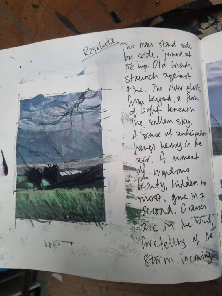 Resolute - Sophie Velzian