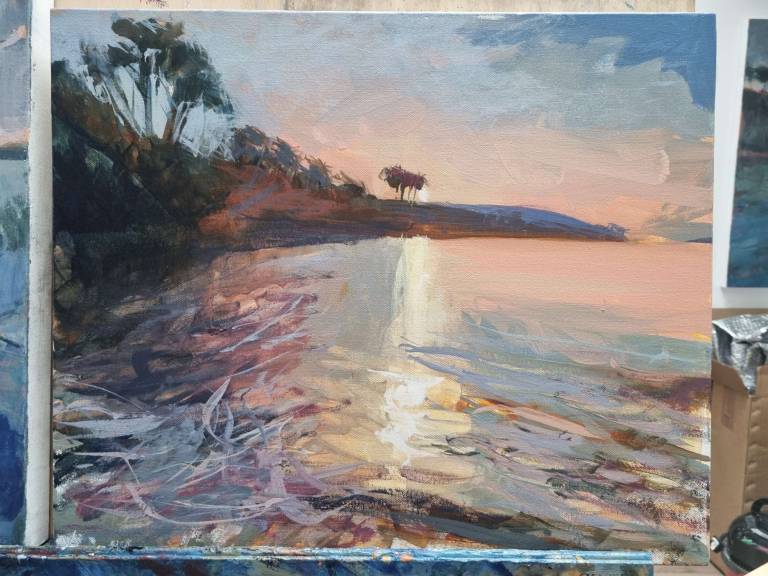 Coral cocoon - Sophie Velzian