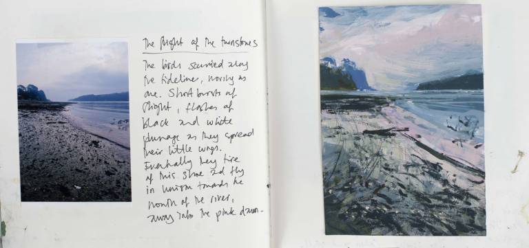 Flight of turnstones - Sophie Velzian