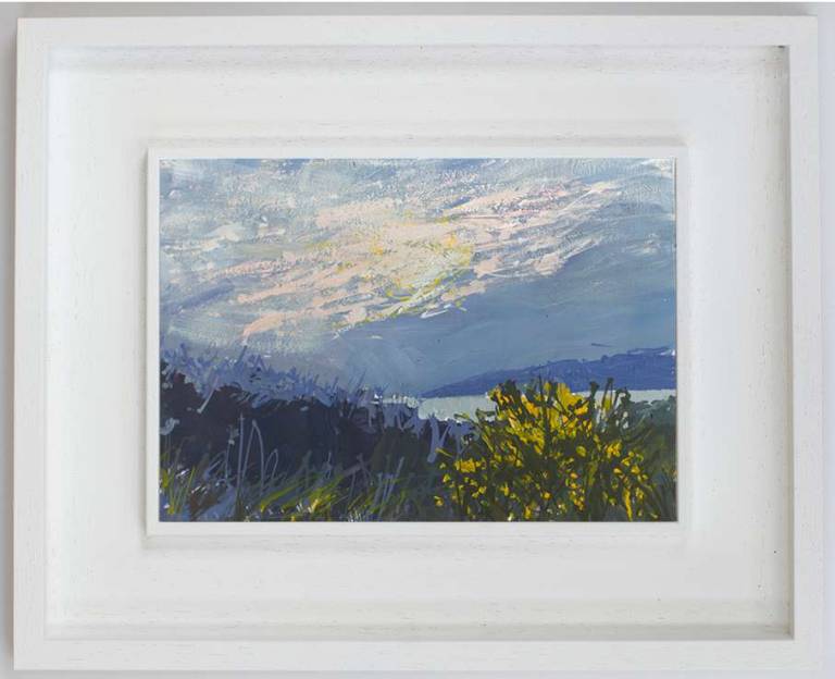 Sunbreak over gorse - Sophie Velzian
