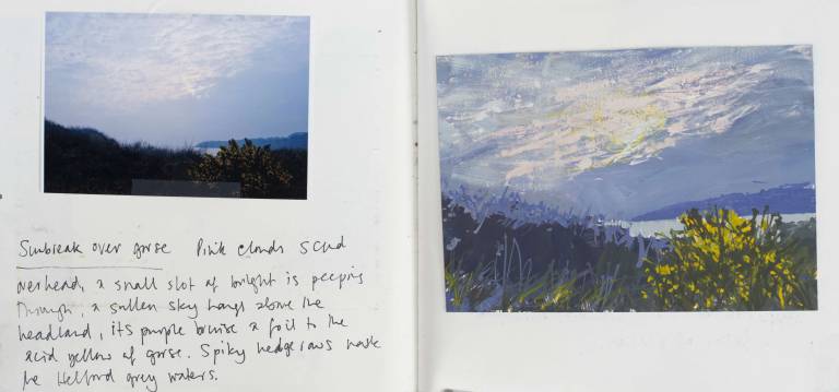 Sunbreak over gorse - Sophie Velzian