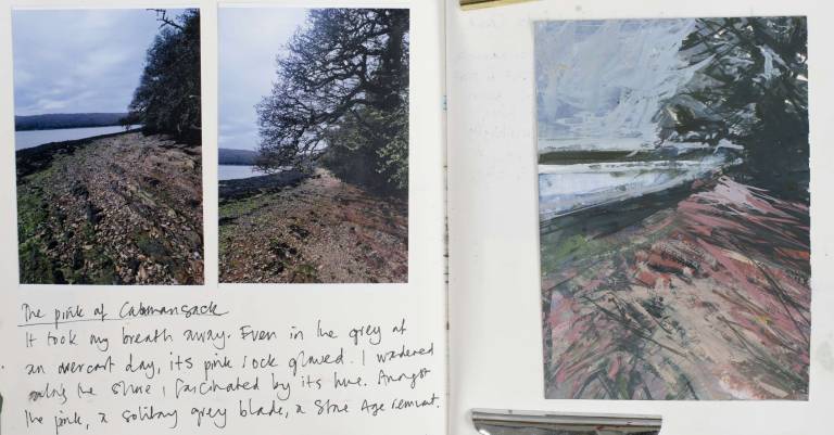 The pink of Calamansack - Sophie Velzian