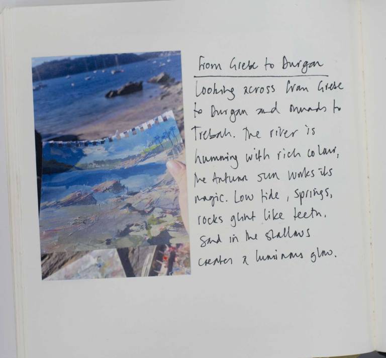 Grebe to Durgan - Sophie Velzian