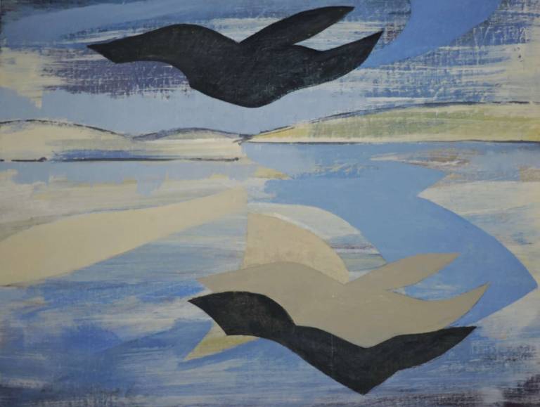 Wings over Helford 2005 - Tom Cross