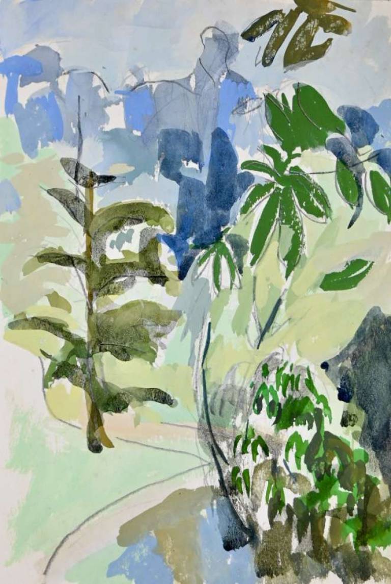 Untitled [Trebah Gardens 1982] - Tom Cross