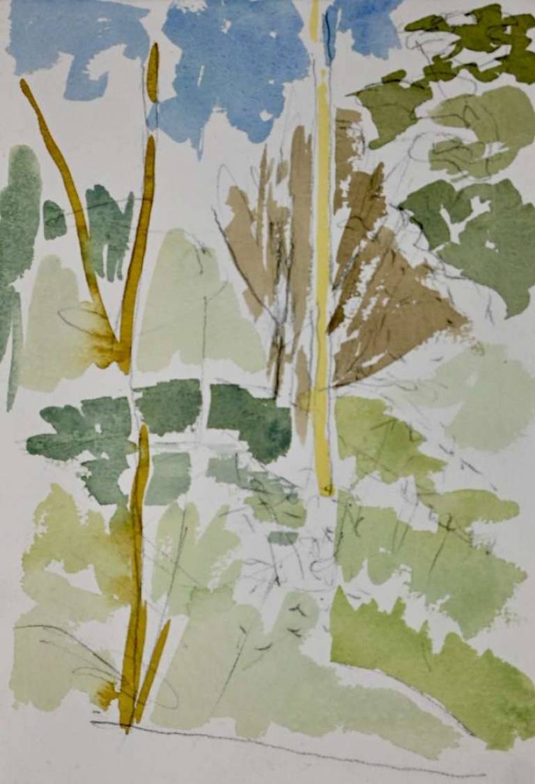 Untitled [Trebah Gardens 1982] - Tom Cross