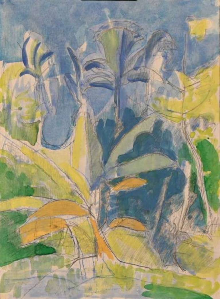 Belize 1984 - Tom Cross