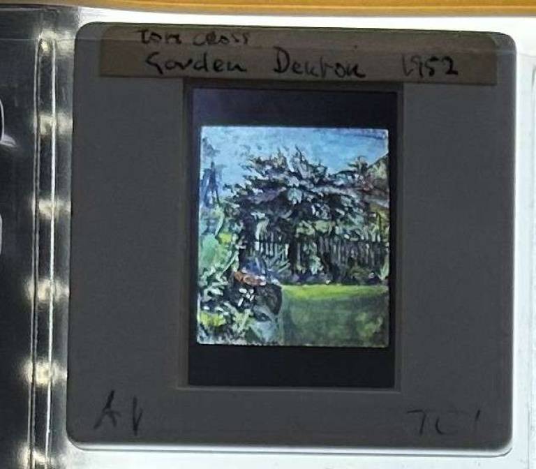 Garden at 3 Percy Road, Denton 1952 - Tom Cross