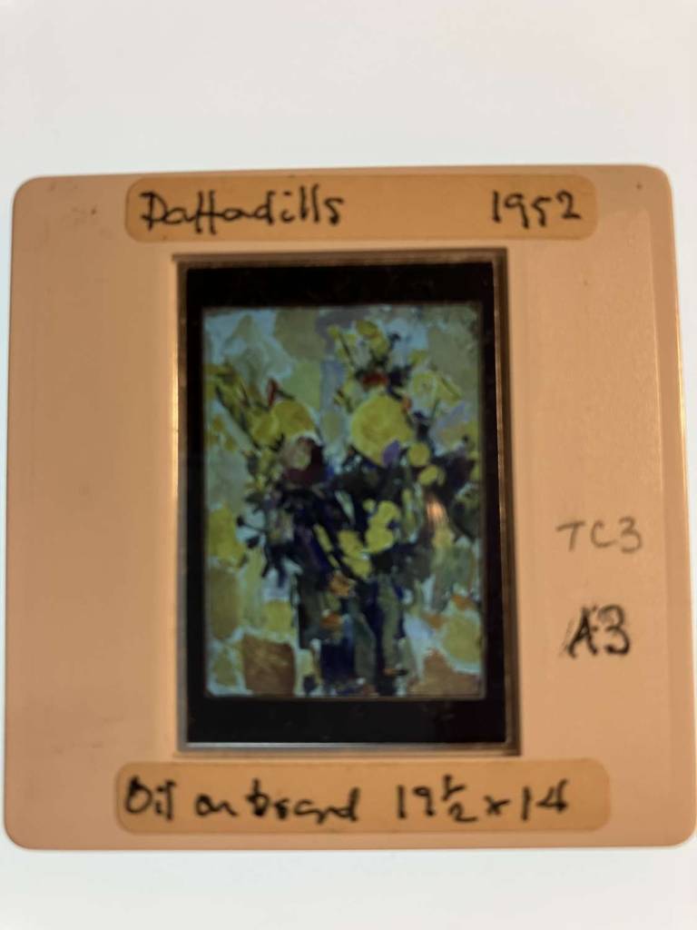 Daffodils 1952 - Tom Cross