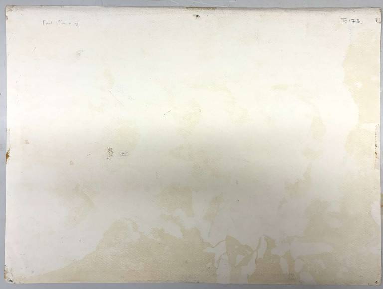 Freni Fawr 2 - Tom Cross