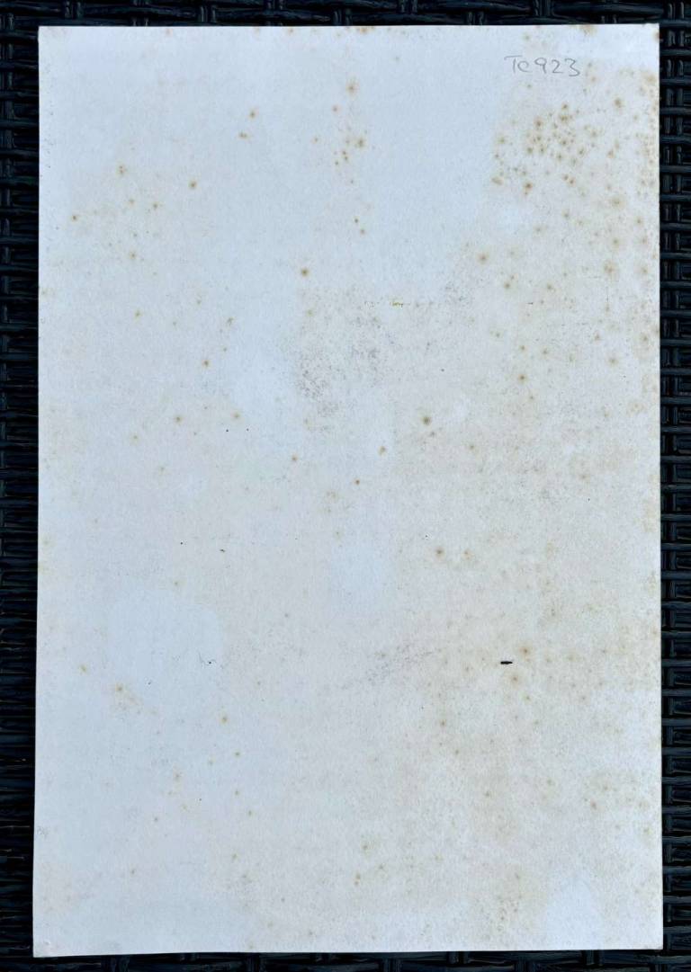 Untitled [View from Greenbank 1977] - Tom Cross