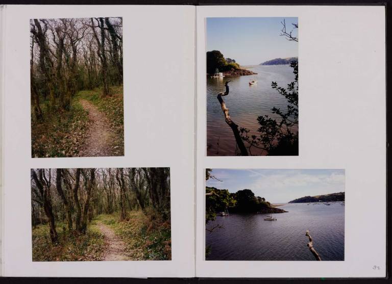 Untitled (Path in Calamansac Woods) 1992 - Tom Cross