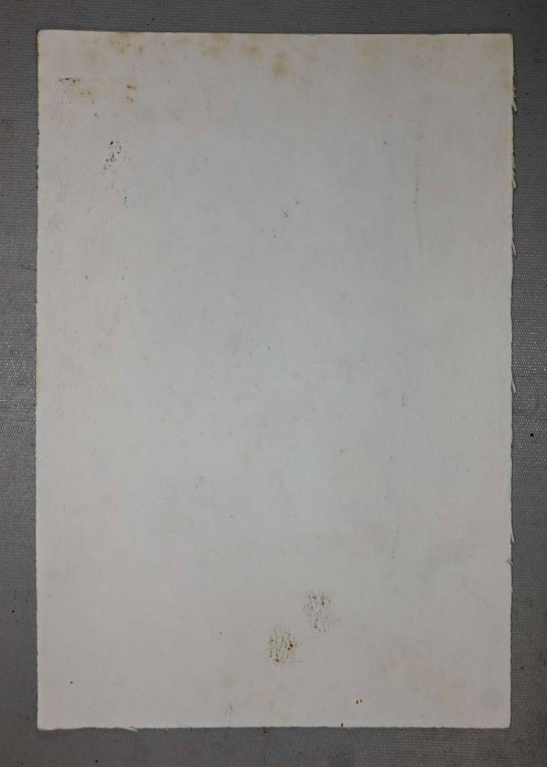 Untitled [Trebah Gardens 1982] - Tom Cross