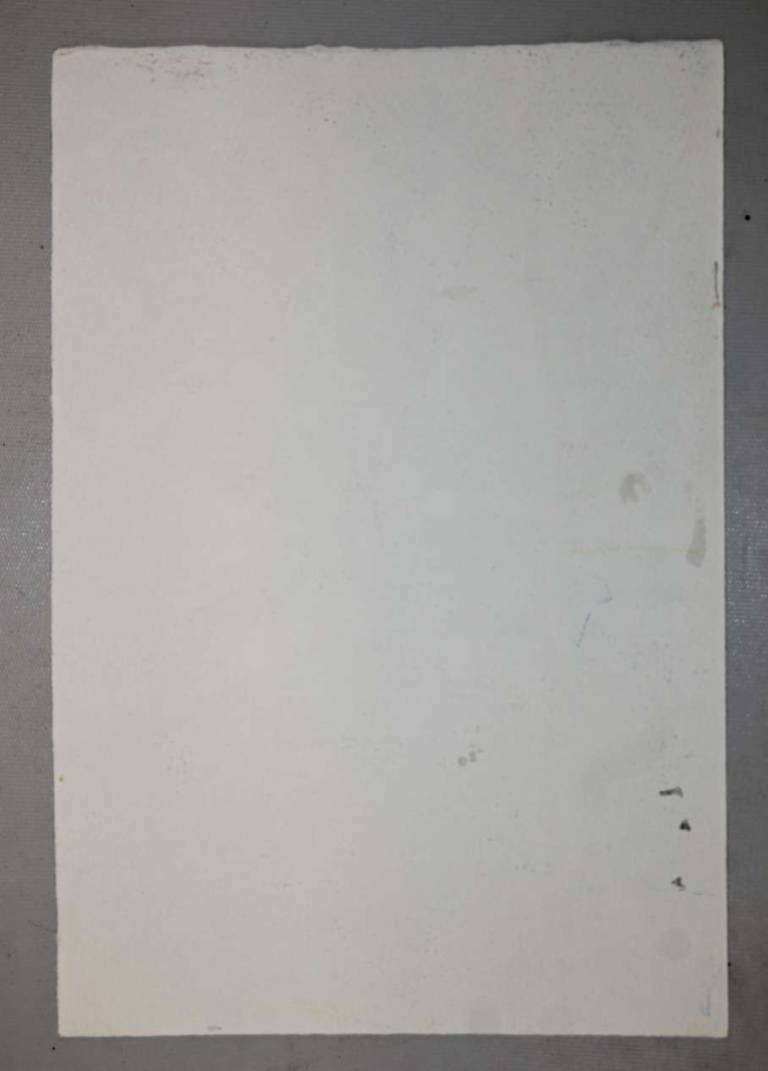 Untitled [Trebah Gardens 1982] - Tom Cross