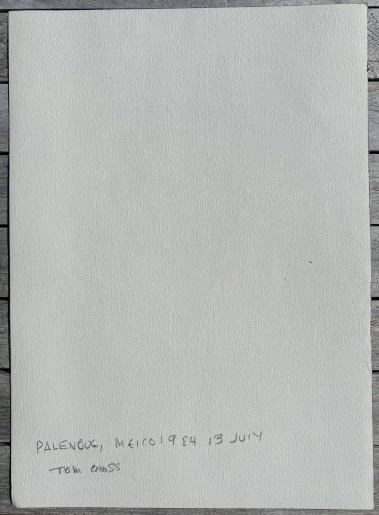 Palenque, Mexico 1984 - Tom Cross