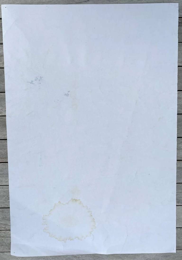 Untitled [Otter Lodge 1992] - Tom Cross