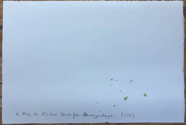 Cader Idris from Abergynolwyn 1999 - Tom Cross