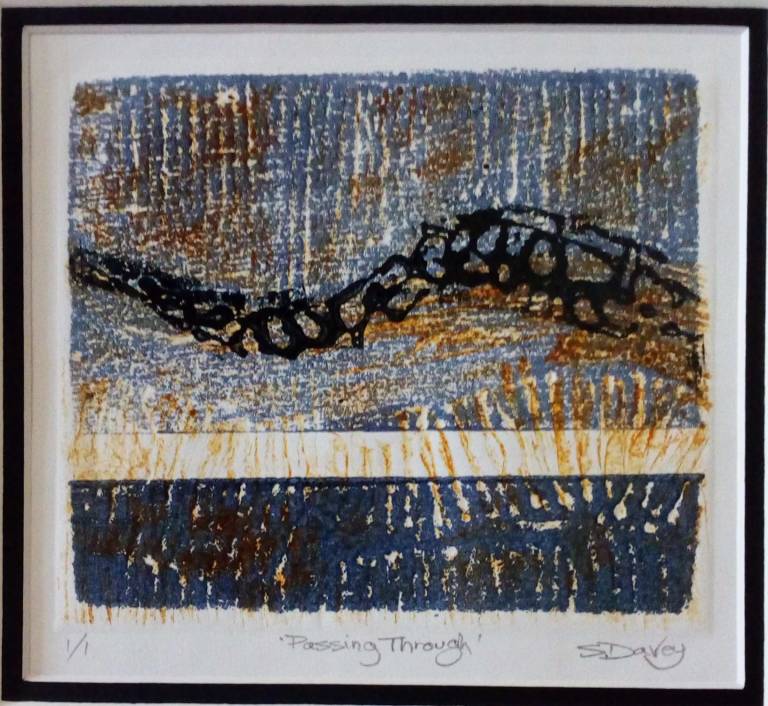 'Passing Through' - Sylvia Davey