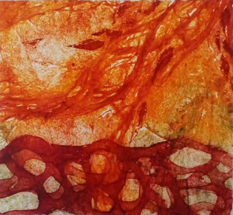 'Looking in' - Sylvia Davey