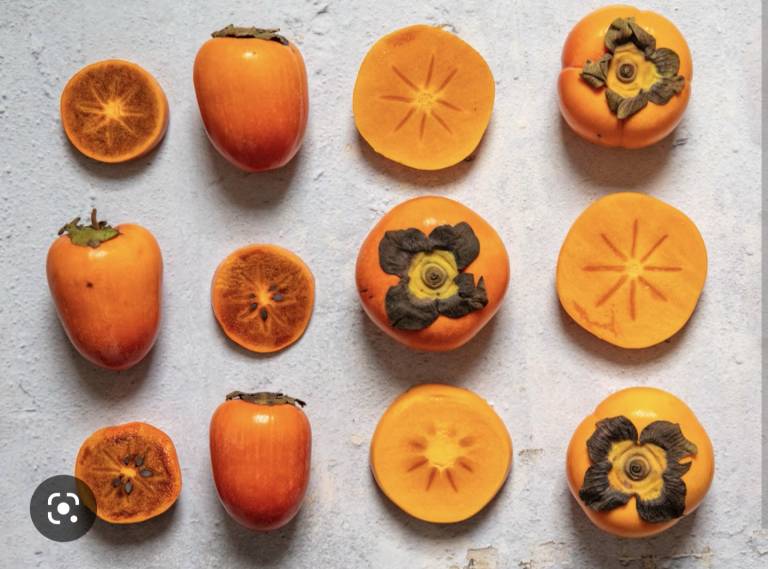 KAKI GINKGO - Sandra Menant