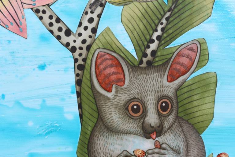 GRAINES DE FOLIE - Sandra Menant