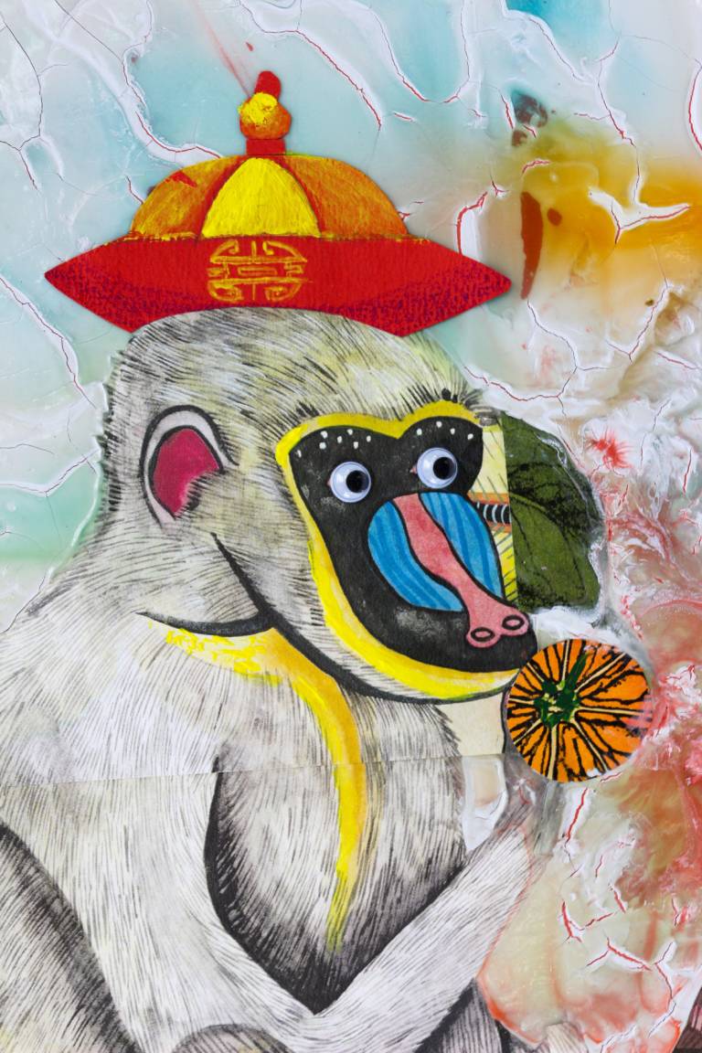 LE SINGE SAVANT - Sandra Menant