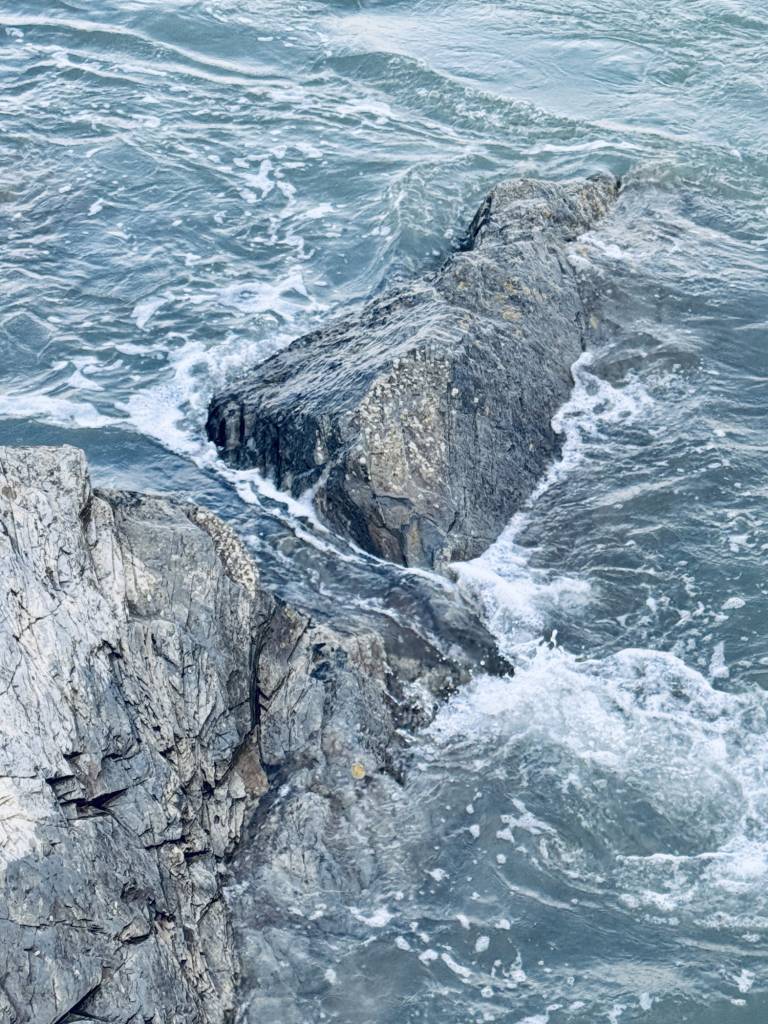 Walking and looking - 