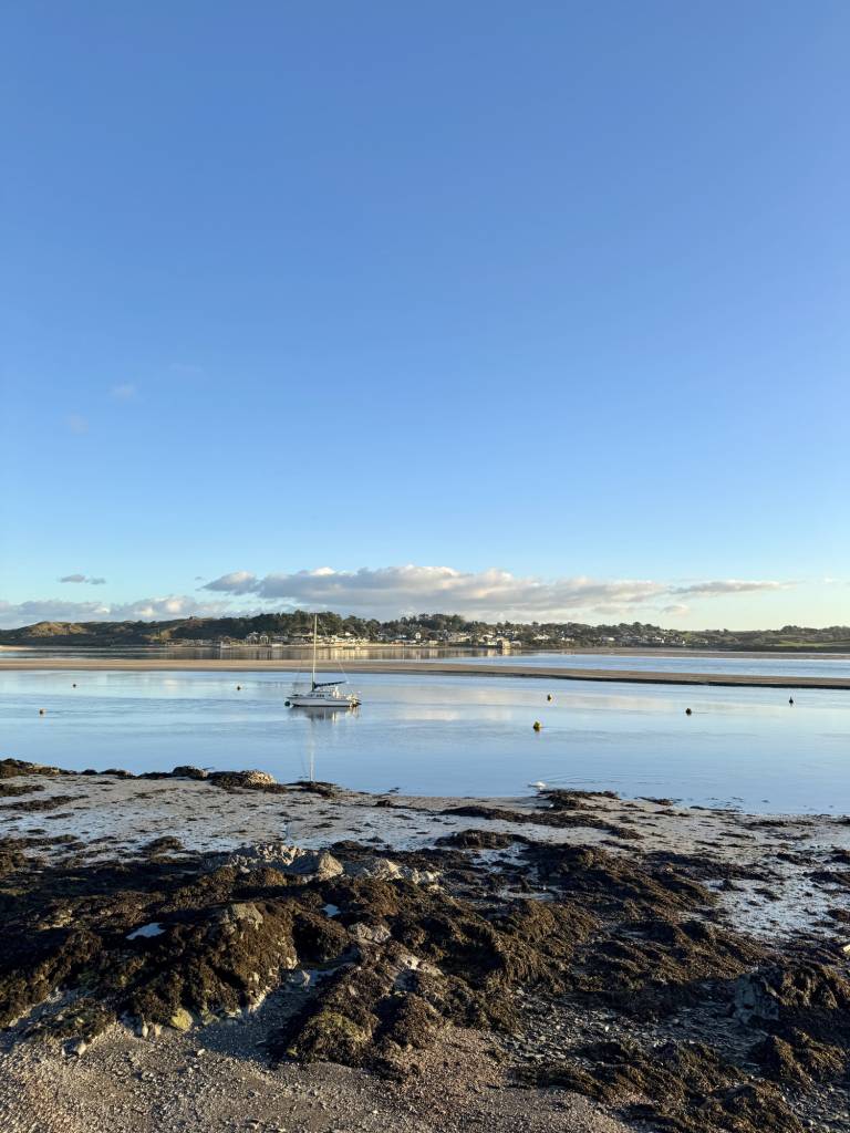 Walking and looking - 